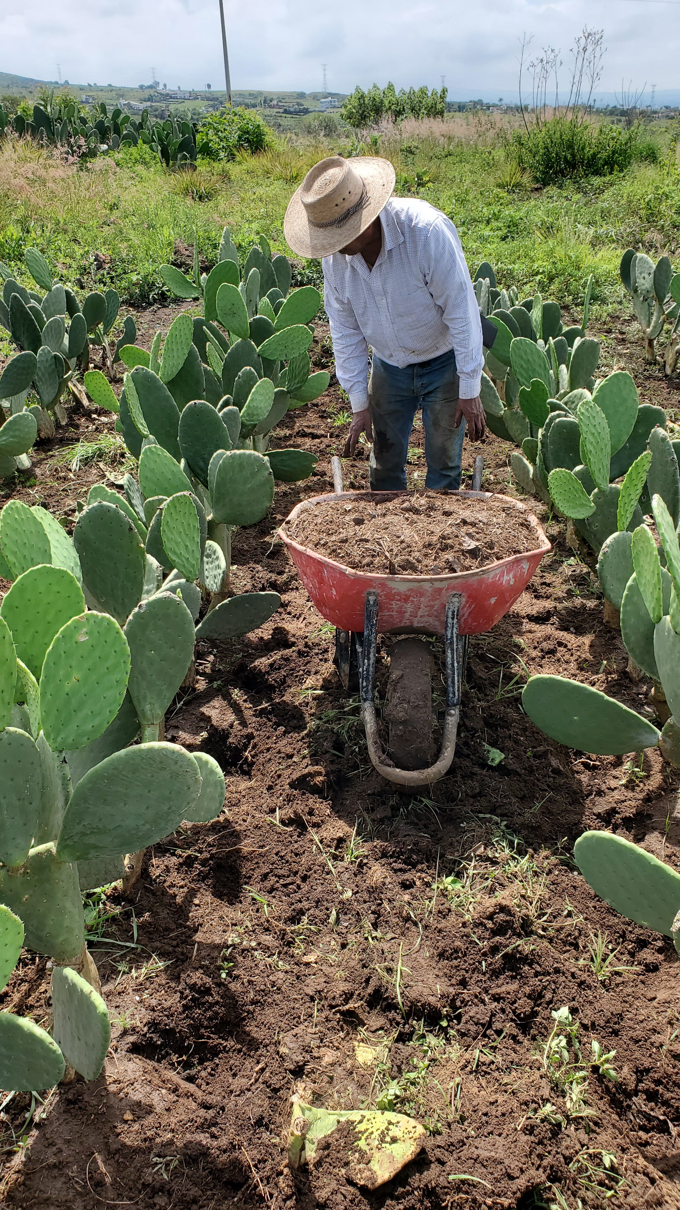 ¡Cultivar con consciencia!