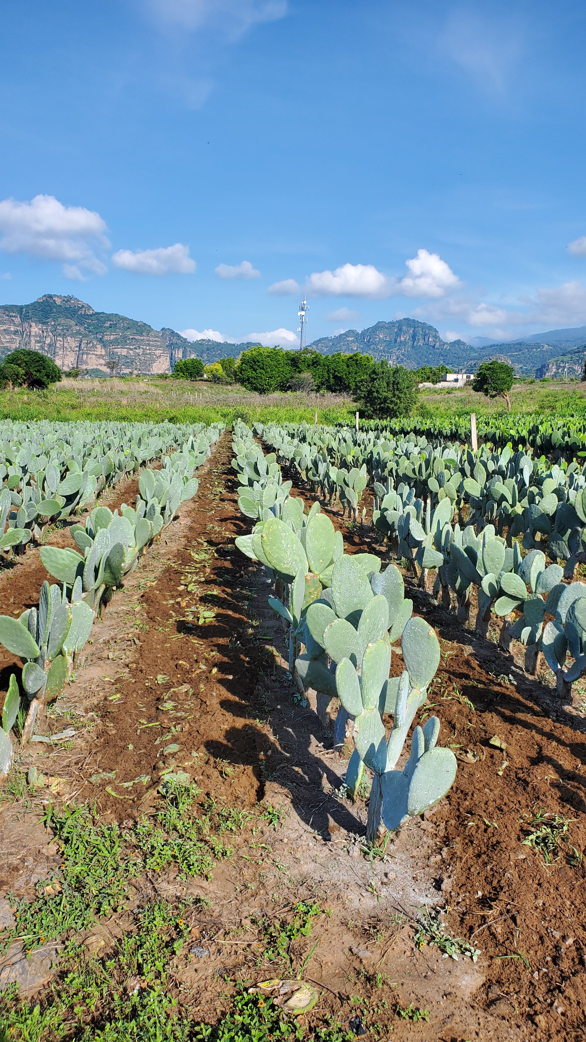 ¡Dar Valor Agregado!