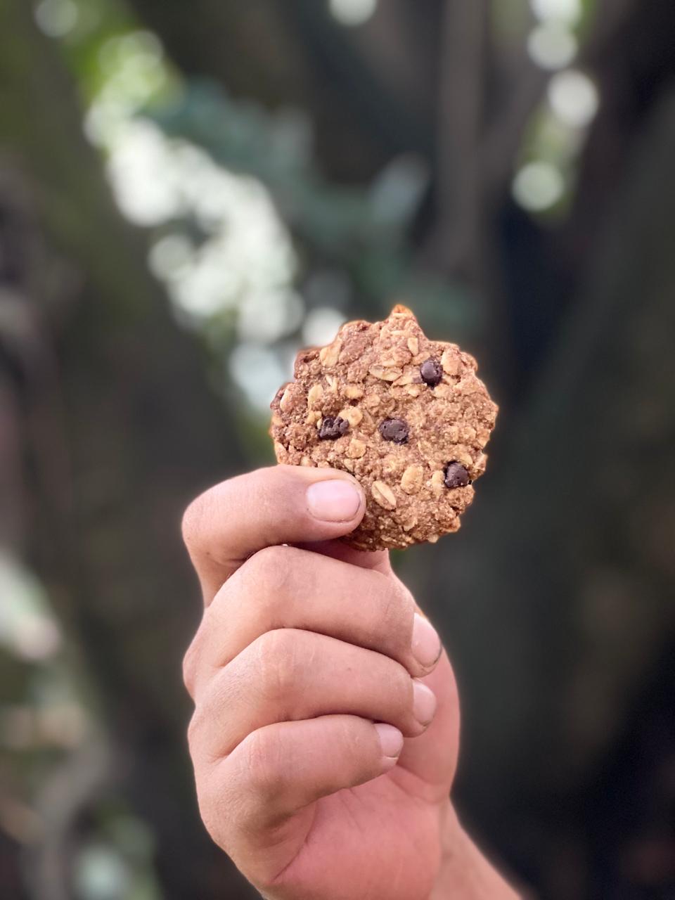 Galletas de Nopal - Avena
